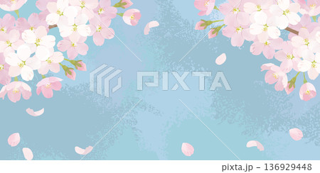 桜　水彩背景イラスト　くすみピンク 136929448