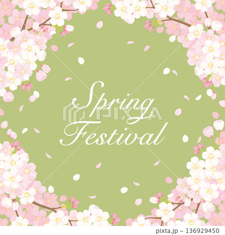 桜　背景イラスト 136929450