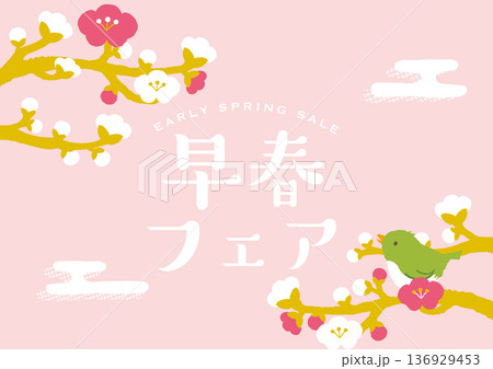 早春イメージイラスト　梅とうぐいす　 136929453