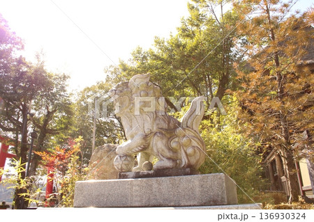 神社の狛犬と紅葉 神社の狛犬と紅葉 136930324
