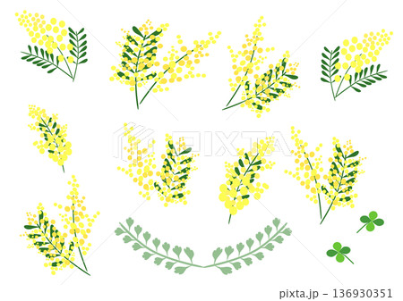 オシャレなミモザのイラストセット_挿絵_月桂冠 136930351