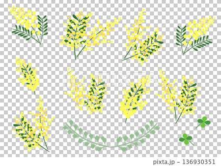 時尚含羞草插圖集_插圖_月桂花環 時尚含羞草插圖集_插圖_月桂花環 136930351