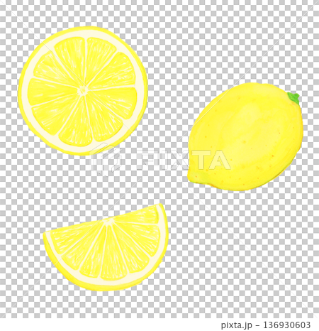 手描き水彩のリアルなレモン丸ごと・輪切り・櫛形セット（葉なし・白背景・食材イラスト） 136930603