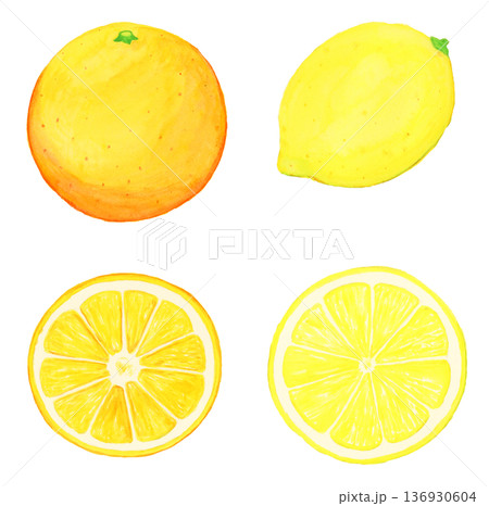手描き水彩のリアルなレモンとオレンジの丸ごと・輪切りセット（葉なし・白背景・食材イラスト） 136930604