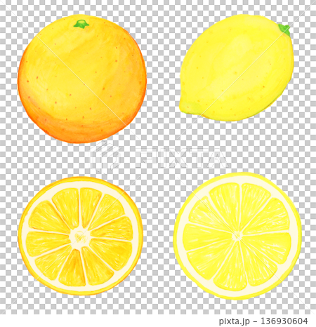 手描き水彩のリアルなレモンとオレンジの丸ごと・輪切りセット（葉なし・白背景・食材イラスト） 136930604