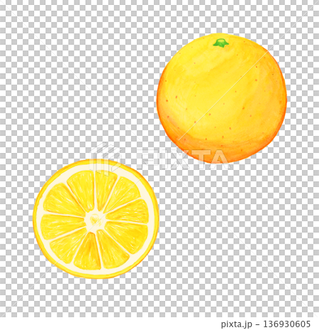 Hand-drawn watercolor realistic whole orange and slice set (without leaves, white background, food illustration) 136930605