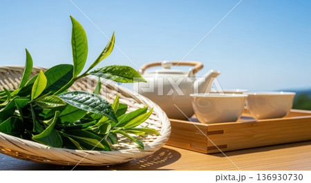 青空の茶畑と摘みたての新鮮な茶葉と急須・湯飲みのある日本茶イメージ 青空の茶畑と摘みたての新鮮な茶葉と急須・湯飲みのある日本茶イメージ 136930730