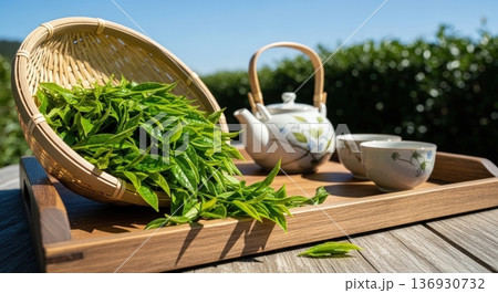 青空の茶畑と摘みたての新鮮な茶葉と急須・湯飲みのある日本茶イメージ 136930732