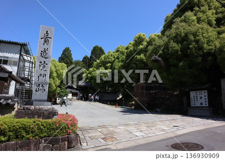 【京都】青蓮院門跡 136930909
