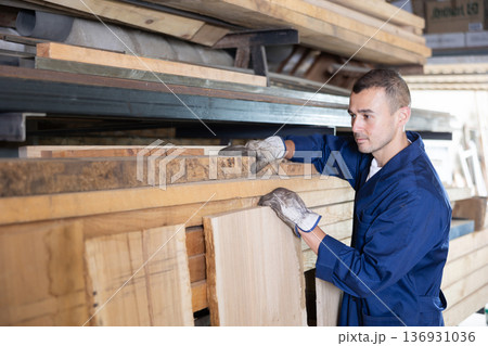 Man employee of carpentry workshop takes out necessary board from stack of materials Man employee of carpentry workshop takes out necessary board from stack of materials 136931036