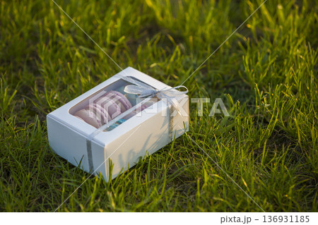 Cardboard white gift box with colorful handmade macaron cookies on green grass lawn background. Cardboard white gift box with colorful handmade macaron cookies on green grass lawn background. 136931185