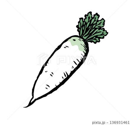 筆で描いた大根 136931461