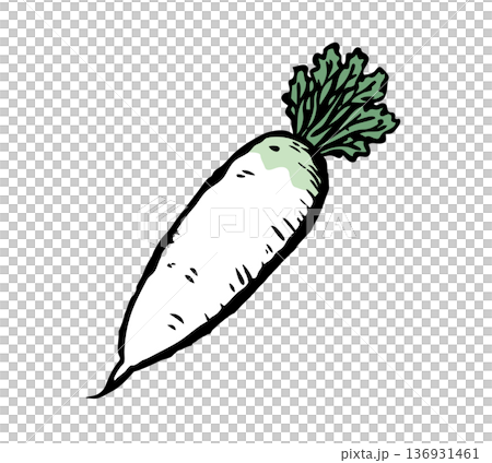 筆で描いた大根 136931461