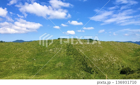 山口県美祢市の秋吉台カルスト展望台の風景 136931710