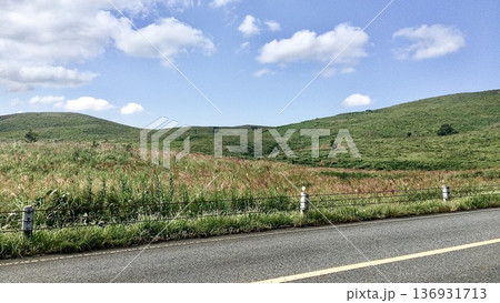 山口県美祢市の秋吉台カルスト展望台の風景 136931713