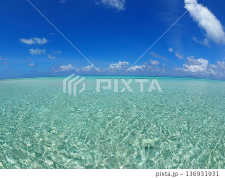 タヒチ・ファカラバの遠浅ラグーンとパウダースノーの白砂ビーチ｜透明な海の南国風景 136931931