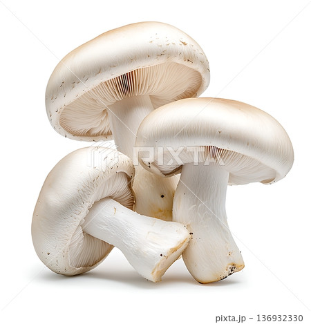 Fresh White Mushrooms on White Background for Culinary and Healthy Eating Concepts 136932330