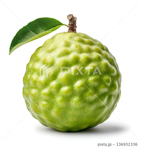 Fresh Green Bergamot Fruit with Leaf Isolated on White Background for Culinary Use Fresh Green Bergamot Fruit with Leaf Isolated on White Background for Culinary Use 136932336
