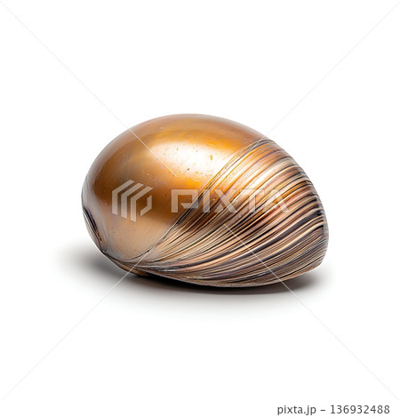 Elegant Bronze Sea Shell Sculpture with Smooth Curves and Shiny Finish for Home Decor Elegant Bronze Sea Shell Sculpture with Smooth Curves and Shiny Finish for Home Decor 136932488