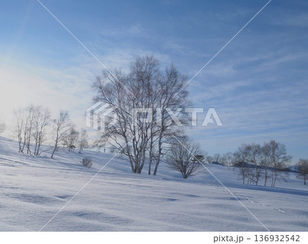 朝の陽と雪原（afli20260220075415） 136932542
