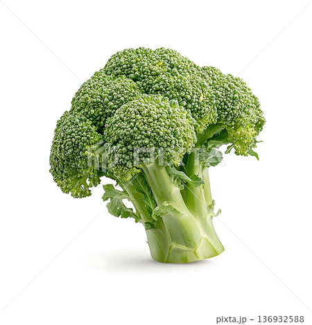 Fresh Organic Broccoli Head Isolated on White Background for Healthy Eating or Cooking 136932588