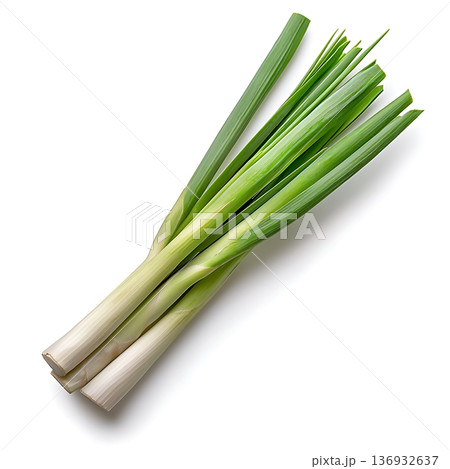 Fresh Green Onions with Crisp Leaves and White Stems on White Background Fresh Green Onions with Crisp Leaves and White Stems on White Background 136932637