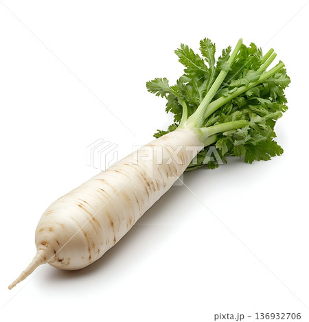 Fresh Organic White Radish with Green Leaves on a White Background for Culinary Use Fresh Organic White Radish with Green Leaves on a White Background for Culinary Use 136932706