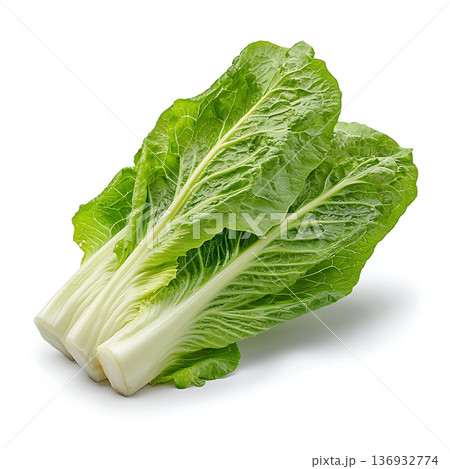 Fresh Green Romaine Lettuce Bunch Ready to Use for Healthy Cooking and Meal Prep 136932774