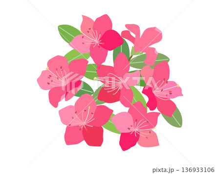 ツツジの花をイメージしたイラスト ツツジの花をイメージしたイラスト 136933106