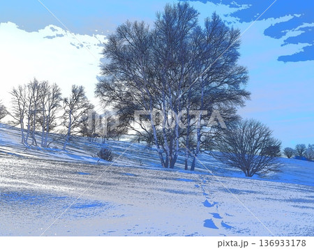 雪原にあるウサギの足跡（afr20260220075543） 136933178