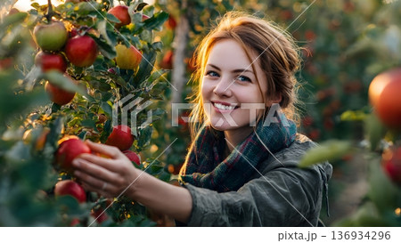 A smiling young woman reaches for a ripe red apple in an orchard at sunset, enjoying the autumn harvest surrounded by lush green leaves and sunlight. AI Generated 136934296