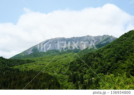 初夏の鍵掛峠の風景 初夏の鍵掛峠の風景 136934800