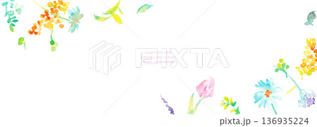 水彩画。水彩タッチのベクター春植物イラスト。春の花と植物のベクターフレームセット。 水彩画。水彩タッチのベクター春植物イラスト。春の花と植物のベクターフレームセット。 136935224