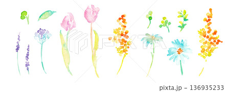 水彩画。水彩タッチのベクター春植物イラスト。春の花と植物のベクターフレームセット。 136935233