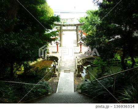 宗像市の大島に建つ宗像大社 中津宮 宗像市の大島に建つ宗像大社 中津宮 136936314