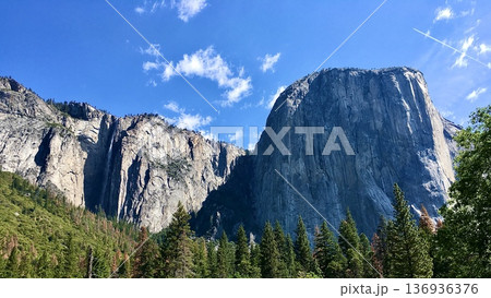 アメリカのヨセミテ国立公園の風景 アメリカのヨセミテ国立公園の風景 136936376