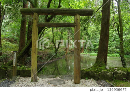 平泉寺白山神社 御手洗池 平泉寺白山神社 御手洗池 136936675