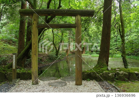 平泉寺白山神社　御手洗池 136936696