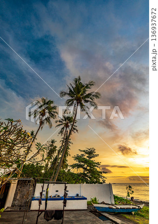 南国リゾート 南国リゾート 136937672