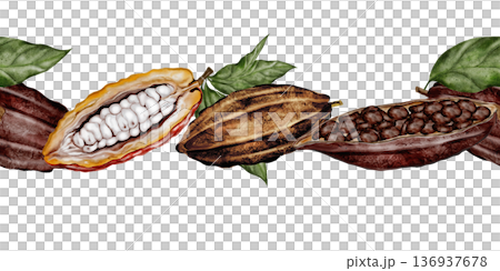 Cocoa bean watercolor seamless border. Hand-drawn cocoa fruit on a white background. Food clip art. Ideal for packaging chocolate and cocoa powder. Cocoa bean watercolor seamless border. Hand-drawn cocoa fruit on a white background. Food clip art. Ideal for packaging chocolate and cocoa powder. 136937678