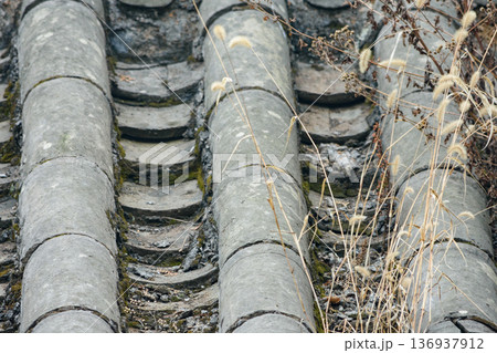 Weathered gray roof tiles with moss and dry grasses Weathered gray roof tiles with moss and dry grasses 136937912