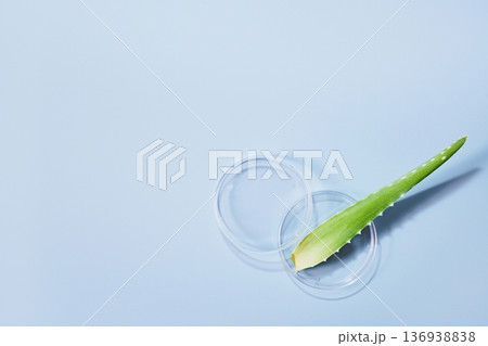 Aloe vera leaf in petri dish on blue background, cosmetic laboratory concept 136938838
