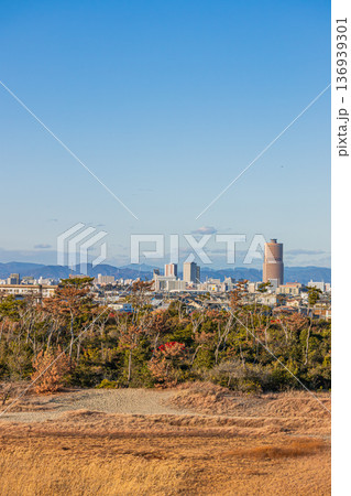 浜松市の街並み(静岡県) 浜松市の街並み(静岡県) 136939301