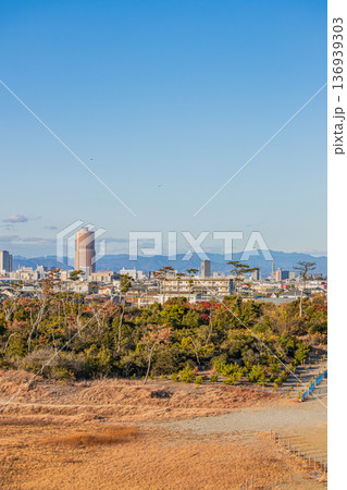 浜松市の街並み(静岡県) 136939303