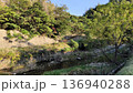 紅葉し始めた小川のある風景 136940288
