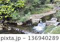 小滝のある小川の風景 136940289