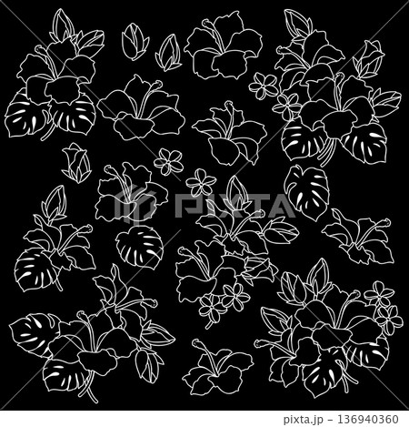 美しいハイビスカスのイラスト素材集, 136940360