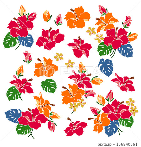 美しいハイビスカスのイラスト素材集, 136940361