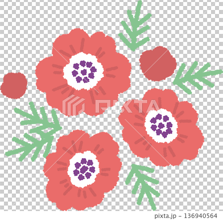 Red anemone illustration Red anemone illustration 136940564