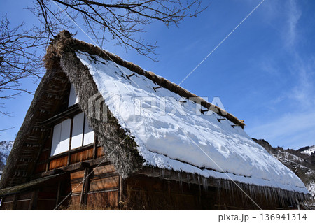 雪に覆われた菅沼合掌造り家屋 雪に覆われた菅沼合掌造り家屋 136941314